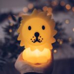 Leeuw nachtlamp klein | Nijntje Bundle of Light | Mr. Maria